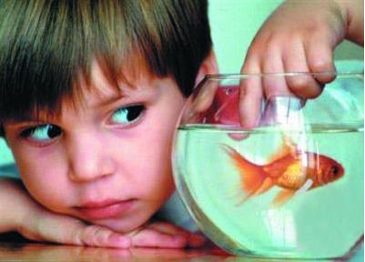 孩子多动症的表现到底有哪些？大脑生物反馈仪