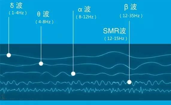 脑波反馈仪训练注意力原理